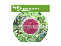 蓝靛果果粉图1