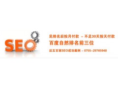 深圳网站优化服务 整站优化SEO服务300元起