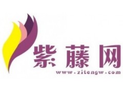 专业打造爆款淘宝网店装修图1