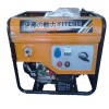 YT250A便携式发电电焊机 电启动发电电焊一体机