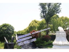 奉贤区海湾园公墓销售热线，位于枣庄路附近的公墓陵园