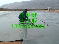 濮阳公园景观人工湖绿化防水防渗材料生产
