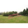 上海淀山湖陵园 您的第一选择 上海淀山湖墓园价格查询