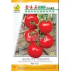 (以色列)金玉石699石头蕃茄--无限生长型