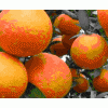 厂家价格供应优质食品级香精香料甜橙油