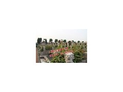 淀山湖归园公墓中心地址 上海公墓中销售最多的墓型 特惠墓