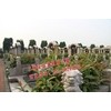 淀山湖归园公墓中心地址 上海公墓中销售最多的墓型 特惠墓
