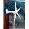 500W风力发电机，小型风力发电机，风光互补路灯