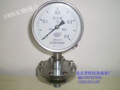 北京销售YTP-100隔膜压力表