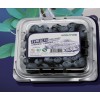 蔡博士2014新款长方形蓝莓盒，有机蓝莓盒