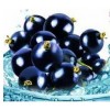 蓝莓饮 OEM | 贴牌加工蓝莓胶原蛋白饮品上海代工厂