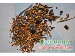 南方 野花组合种子供应图1