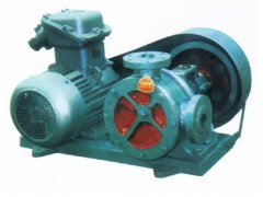 107胶原料输送泵NYP320RU-M104-W1高粘度泵