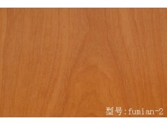 直铺式防静电陶瓷砖-郑州星光防静电地板有限公司