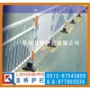 海南三亚 广场隔离护栏/三亚广场隔离栏杆/龙桥专业订制