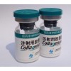 供应注射胶原酶胶原蛋白价格使用及疗效-北京安通医疗
