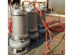 不锈钢潜水潜污泵、耐酸碱废水泵