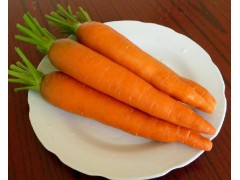 灵沼农业 胡萝卜 胡芦菔 红萝卜西安蔬菜配送