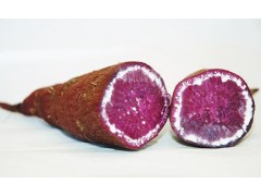 灵沼农业 紫薯 参薯 黑薯 紫色番薯 西安蔬菜配送