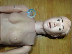 医用模拟人橡皮人,基础护理人体模型