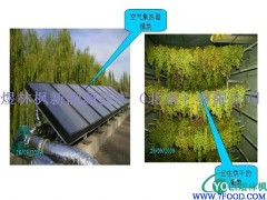 煜林枫太阳能干燥系统