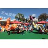 郑州威顺供应大型充气游乐设备 儿童趣味冲关气模乐园