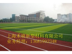 供应复合型塑胶跑道材料/上海禾禧厂家销售