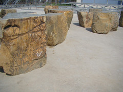 华安玉奇石，风景石材，观赏石材 别墅 公园用园林风景石