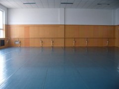 供应长盈纯色舞蹈室塑胶地板