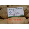 山东滕州批发小土豆百度马铃薯种薯名优产品1590637021