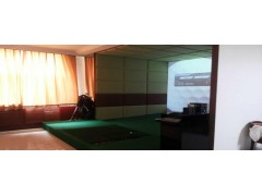 韩国原装进口B-GOLF室内模拟高尔夫