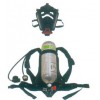 BD2100标准型呼吸器