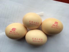 锦州/鹿泉整盘鸡蛋喷码机 单排鸡蛋喷码机 喷码机多少钱
