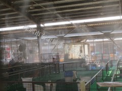 深圳专业家禽批发市场喷雾消毒设备