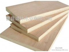 多层板，胶合板,杨木多层板，杨木胶合板