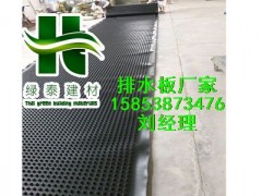 郑州塑料排水板/2公分蓄排水板/车库透水板供应