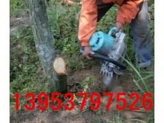 带土球起苗机 安全快速高效带土球起苗机挖树机
