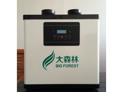 大森林工厂烟雾净化器DSL6602，现货供应