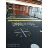 博高健身房私教360地胶垫，带图案私教工作室地板胶