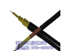 乐山电缆批量生产各类型号控制电缆，20年生产企业品质保证