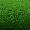 格林苹果绿高尔夫/人造草坪/塑料草皮/仿真人工假草坪地毯阳台