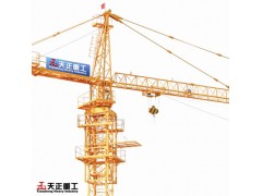 青岛天正重工专业塔吊标准节生产厂家