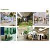 上海室内绿色植物花卉销售设计公司