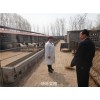 陕西省哪里有卖白头杜泊羊的？黑头杜泊绵羊最新价格