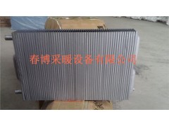 钢制串片散热器GCB220-1-20