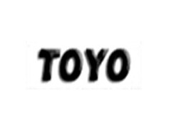 进口TOYO电动葫芦国际认证 TOYO电动葫芦全网最低价