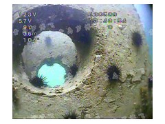 小型水下机器人用于水下环境观测、水下视频拍摄、水电站闸门检测