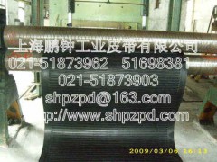 原装正品带式过滤机输送带_上海市专业的真空过滤机输送带供应商是哪家