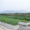 都市农夫屋顶绿化项目_自动灌溉系统蓄排水种植槽全国招商