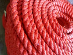 威海聚乙烯绳厂家的质量在同行业中遥遥领先，销量更是领先一筹